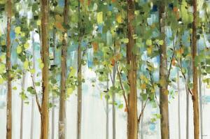 Forest Study I Crop by Lisa Audit