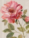 Harmonious Rose Linen-Lisa Audit-Art Print