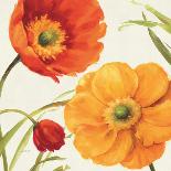Poppies Melody II-Lisa Audit-Art Print