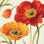 Poppies Melody III-Lisa Audit-Art Print