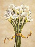 Bouquet ambra-Lisa Corradini-Mounted Art Print