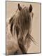Premium Photographic Print