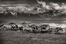 Mountain Range Mavericks-Lisa Dearing-Photographic Print