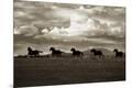 Photographic Print
