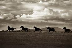 Wild Horses-Lisa Dearing-Art Print