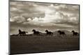 Premium Photographic Print