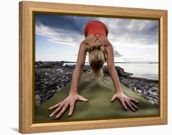 Lisa Eaton Holds a Downward Dog Yoga Pose on the Beach of Lincoln Park - West Seattle, Washington-Dan Holz-Framed Premier Image Canvas