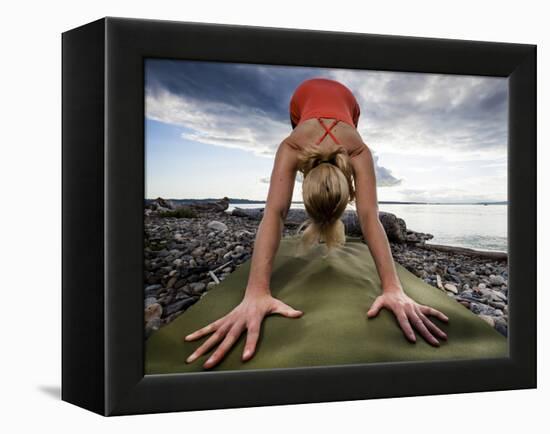 Lisa Eaton Holds a Downward Dog Yoga Pose on the Beach of Lincoln Park - West Seattle, Washington-Dan Holz-Framed Premier Image Canvas