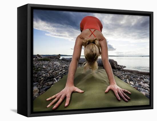 Lisa Eaton Holds a Downward Dog Yoga Pose on the Beach of Lincoln Park - West Seattle, Washington-Dan Holz-Framed Premier Image Canvas