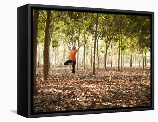 Lisa Eaton Practices Tree Pose in a Rubber Tree Plantation -Chiang Dao, Thaialand-Dan Holz-Framed Premier Image Canvas