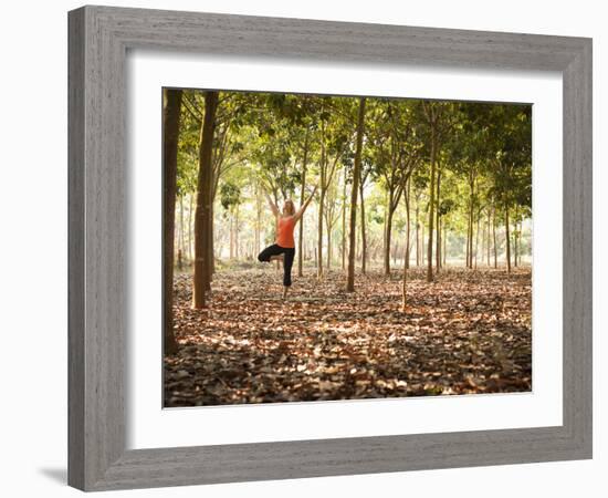 Lisa Eaton Practices Tree Pose in a Rubber Tree Plantation -Chiang Dao, Thaialand-Dan Holz-Framed Photographic Print