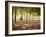 Lisa Eaton Practices Tree Pose in a Rubber Tree Plantation -Chiang Dao, Thaialand-Dan Holz-Framed Photographic Print