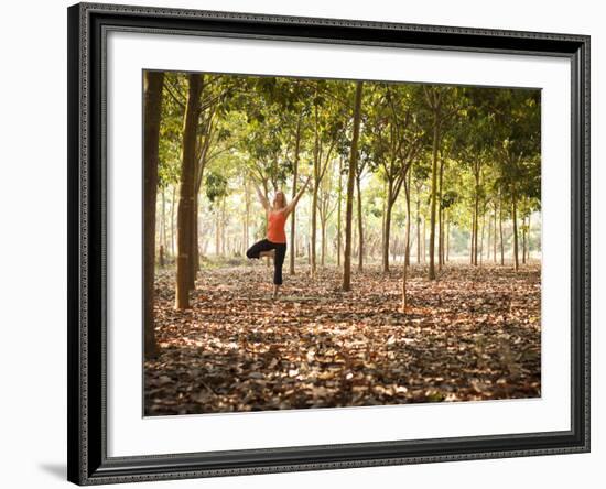 Lisa Eaton Practices Tree Pose in a Rubber Tree Plantation -Chiang Dao, Thaialand-Dan Holz-Framed Photographic Print