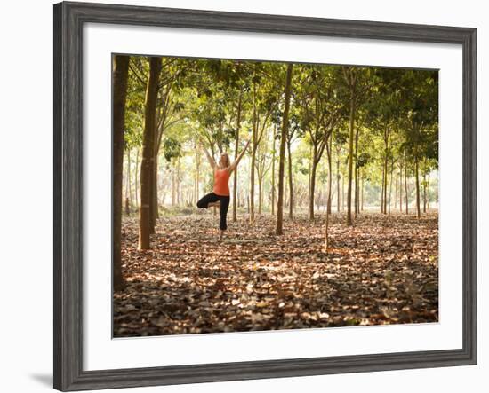 Lisa Eaton Practices Tree Pose in a Rubber Tree Plantation -Chiang Dao, Thaialand-Dan Holz-Framed Photographic Print