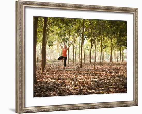 Lisa Eaton Practices Tree Pose in a Rubber Tree Plantation -Chiang Dao, Thaialand-Dan Holz-Framed Photographic Print