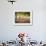 Lisa Eaton Practices Tree Pose in a Rubber Tree Plantation -Chiang Dao, Thaialand-Dan Holz-Framed Photographic Print displayed on a wall