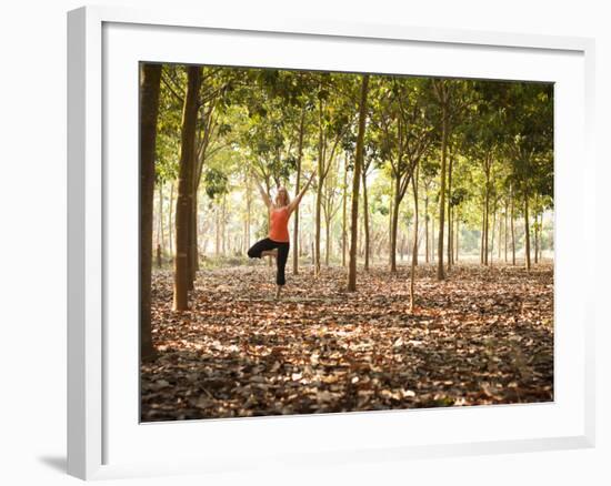 Lisa Eaton Practices Tree Pose in a Rubber Tree Plantation -Chiang Dao, Thaialand-Dan Holz-Framed Photographic Print