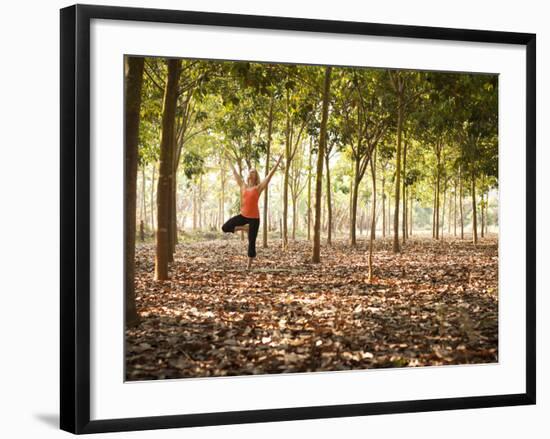 Lisa Eaton Practices Tree Pose in a Rubber Tree Plantation -Chiang Dao, Thaialand-Dan Holz-Framed Photographic Print