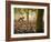 Lisa Eaton Takes Her Yoga Practice to a Rubber Tree Plantation in Chiang Dao, Thaialand-Dan Holz-Framed Photographic Print