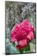 Premium Photographic Print
