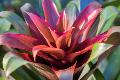 Premium Photographic Print