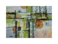 570-Lisa Fertig-Stretched Canvas