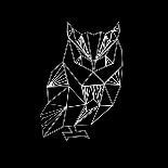 Owl Polygon-Lisa Kroll-Art Print