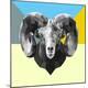 Premium Giclee Print