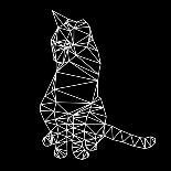 Smart Cat Polygon-Lisa Kroll-Art Print