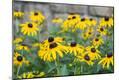 Premium Photographic Print