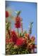 Premium Photographic Print
