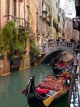 Gondolas Moored along Grand Canal, Venice, Italy-Lisa S^ Engelbrecht-Photographic Print