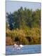 Photographic Print