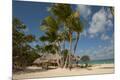 Premium Photographic Print