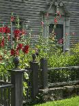 Mission House Front Door, Stockbridge, Berkshires, Massachusetts, USA-Lisa S. Engelbrecht-Photographic Print