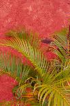 Azalea Flowers, Edgewater Landings, Florida, USA-Lisa S. Engelbrecht-Photographic Print