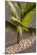 Premium Photographic Print