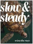 Slow and Steady-Lisa S. Engelbrecht-Photographic Print