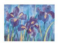 Irises-Lisa V^ Keaney-Art Print