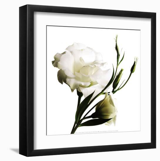 Lisanthe-Cédric Porchez-Framed Art Print