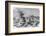 Lisbon Earthquake, 19th Century Artwork-Science Photo Library-Framed Photographic Print