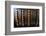 Lisbon, Portugal. Antique Portuguese cash register-Julien McRoberts-Framed Photographic Print