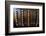 Lisbon, Portugal. Antique Portuguese cash register-Julien McRoberts-Framed Photographic Print