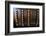 Lisbon, Portugal. Antique Portuguese cash register-Julien McRoberts-Framed Photographic Print