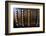 Lisbon, Portugal. Antique Portuguese cash register-Julien McRoberts-Framed Photographic Print