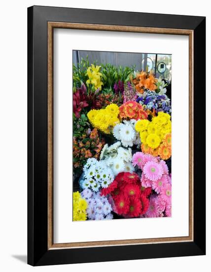 Lisbon, Portugal. Flower stall at Rossio Square-Julien McRoberts-Framed Photographic Print
