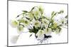 Lisianthus Flowers (Lisianthus Sp.)-Erika Craddock-Mounted Photographic Print