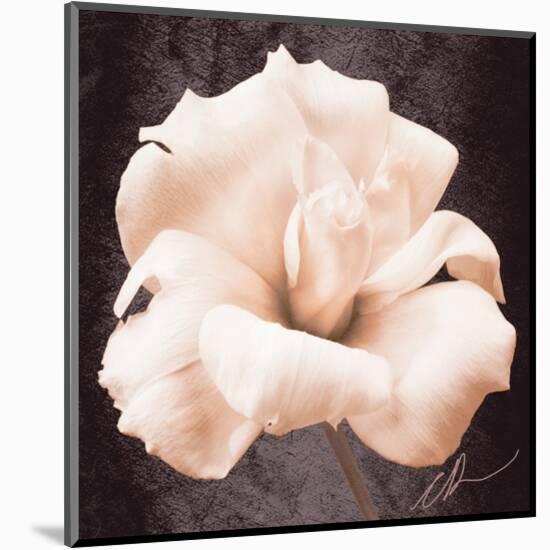 Lisianthus-Christine Zalewski-Mounted Art Print