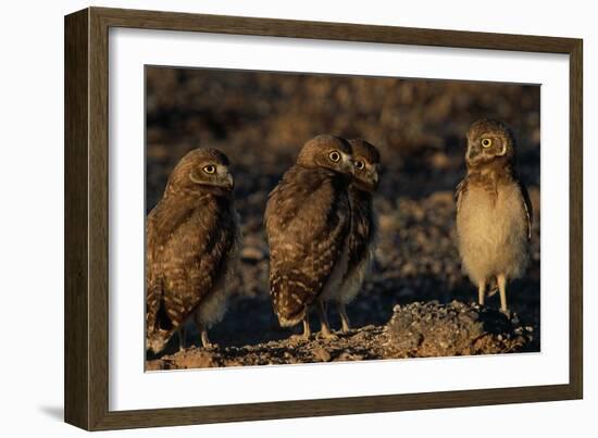 Listen Up-Ike Leahy-Framed Photographic Print