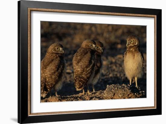 Listen Up-Ike Leahy-Framed Photographic Print